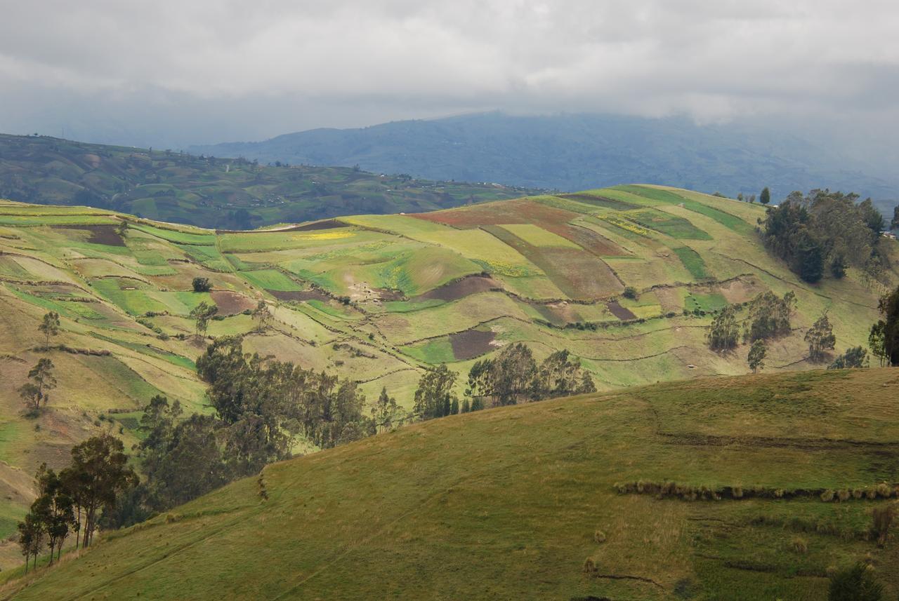 Séjour à la ferme Turismo Comunitario La Esperanza